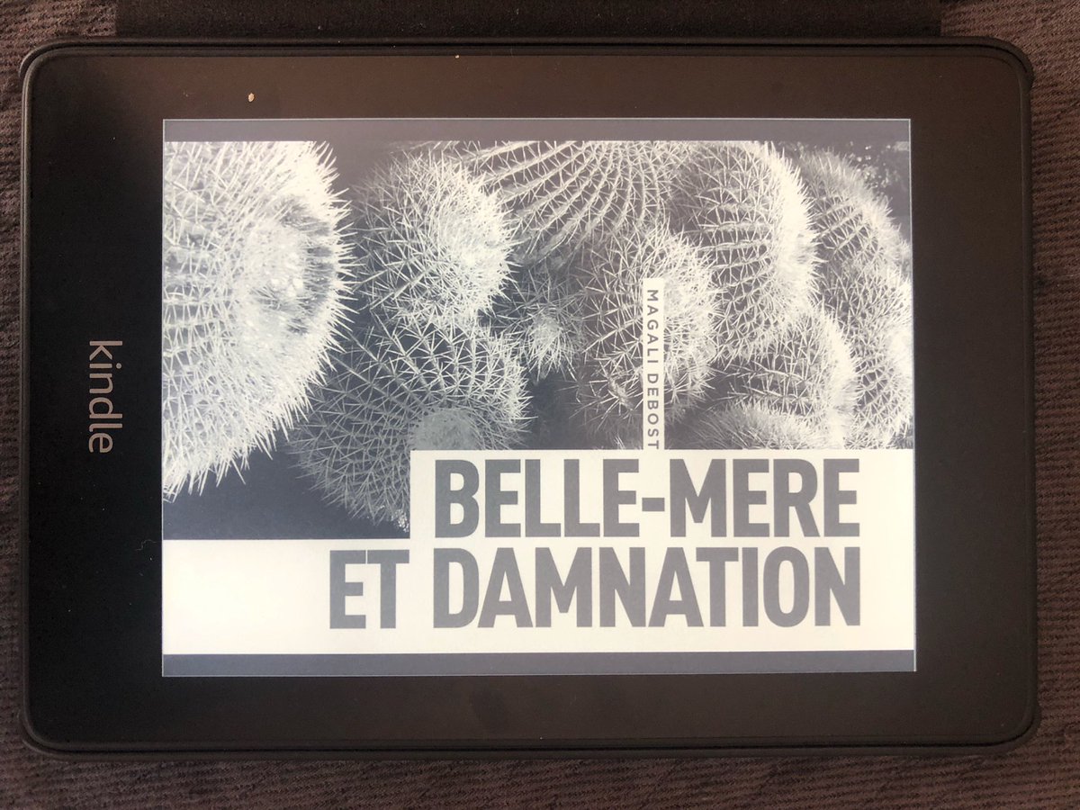 Pour fêter la participation de “BM&amp;D” au concours des #plumesfrancophones2019, le prix du Kindle passe à 3,99 euros jusqu’au 8 octobre 2019, date des résultats ! #gogogo #bellemèreetdamnation #livre #concours #promo #rionsunpeu #oubeaucoup <a href="/AmazonKDP/">Kindle Direct Publishing</a> <a href="/AmazonFRA/">Amazon.fr</a>