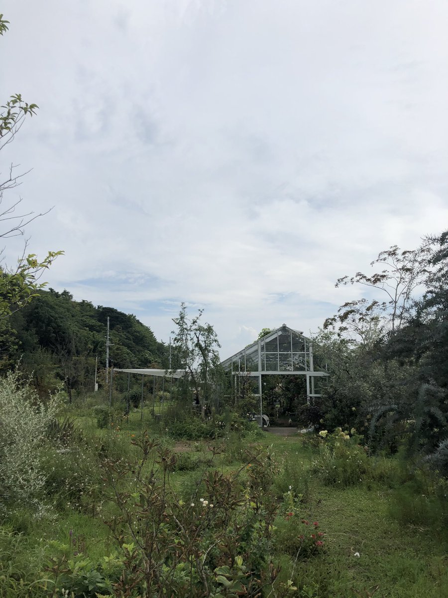 koparty7's tweet photo. 【瀬戸内国際芸術祭 夏会期】
行きたかった犬島。
犬島精錬所美術館がかなりよくてドキドキした😳海沿いの景色も最高！

#瀬戸芸2019 #夏会期 #犬島 #犬島精錬所美術館 #setouchitriennale2019 #ドキドキ #inujima https://t.co/z4SNkxnJPE