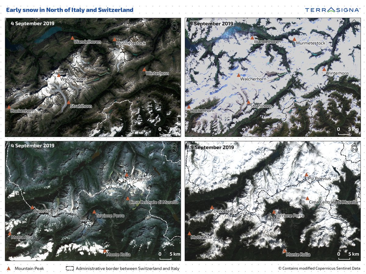 TERRASIGNA tweet media