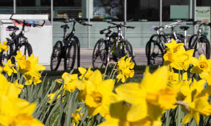 Jen_robrien's tweet photo. Learn to ride a bike, or improve your skills! @UoMSust are offering FREE training:
3rd Oct 2pm &amp; 5pm
22nd Oct 2pm &amp; 5pm Learn to Ride

24th Sep 2pm &amp; 5pm
9th Oct 2pm &amp; 5pm Road Rider Ready
Email es@manchester.ac.uk #SEEDSR @GeographyUOM @GlobalDevInst @EducationUoM @PlanningUOM https://t.co/rXARqp5Sh3