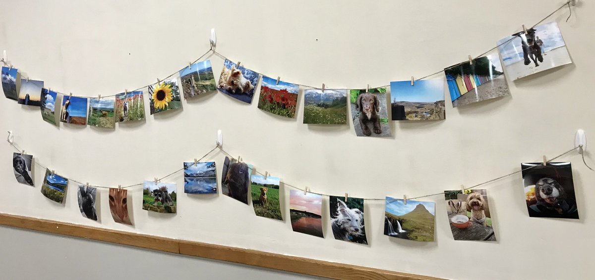 DCHStrust's tweet photo. Thanks to Brian Pickering, our resident photographer, for judging the #DCHSCommunityWeek photography competition last week. Our two winners will be revealed this week! https://t.co/grn2JPsHG1