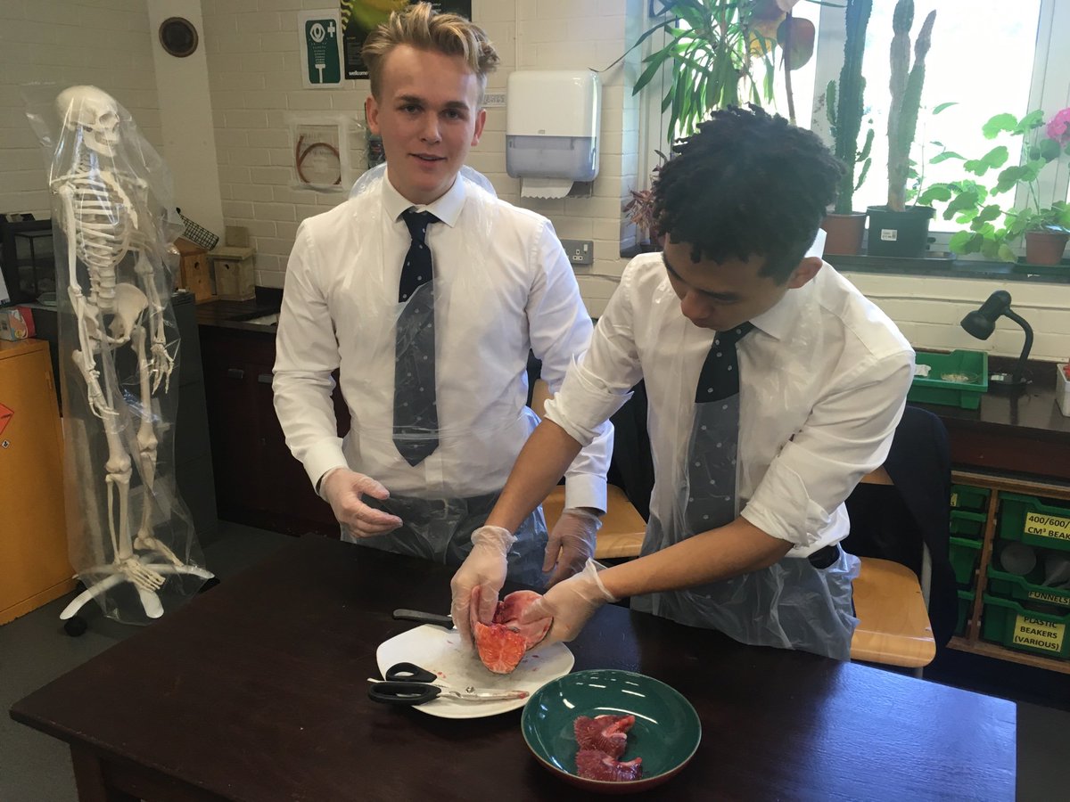 Sedbergh_STEM's tweet photo. A-Level Biology studying gas exchange systems in fish, insects & mammals #AQAbiology https://t.co/Py65NbIaj6