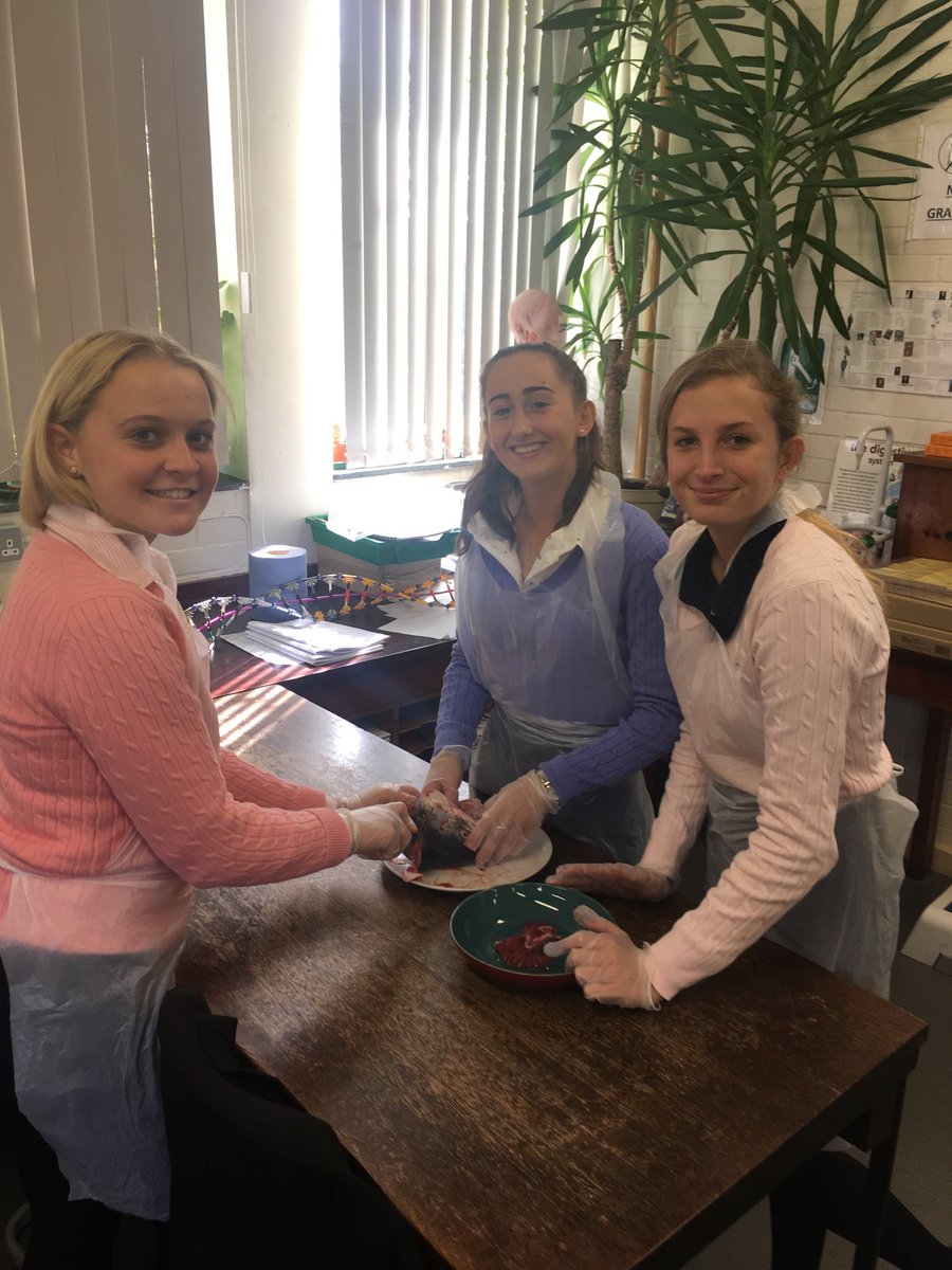 Sedbergh_STEM's tweet photo. A-Level Biology studying gas exchange systems in fish, insects & mammals #AQAbiology https://t.co/Py65NbIaj6