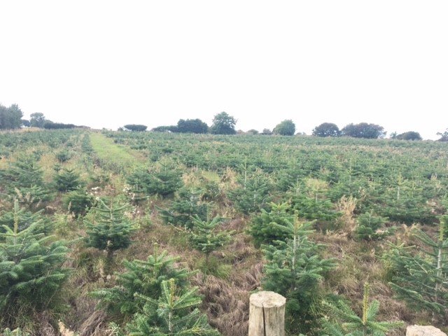 IFACharlotte's tweet photo. Nothing like an 8 mile #country #walk around Spofforth and Stockeld villages in #Yorkshire on Saturday with my #family to blow away the cobwebs from #FridayThe13th.  Glorious #weather, beautiful #Scenery, friendly #horse, generous #residents and great lunch at @scottsarms. https://t.co/NUhNhIh7hs