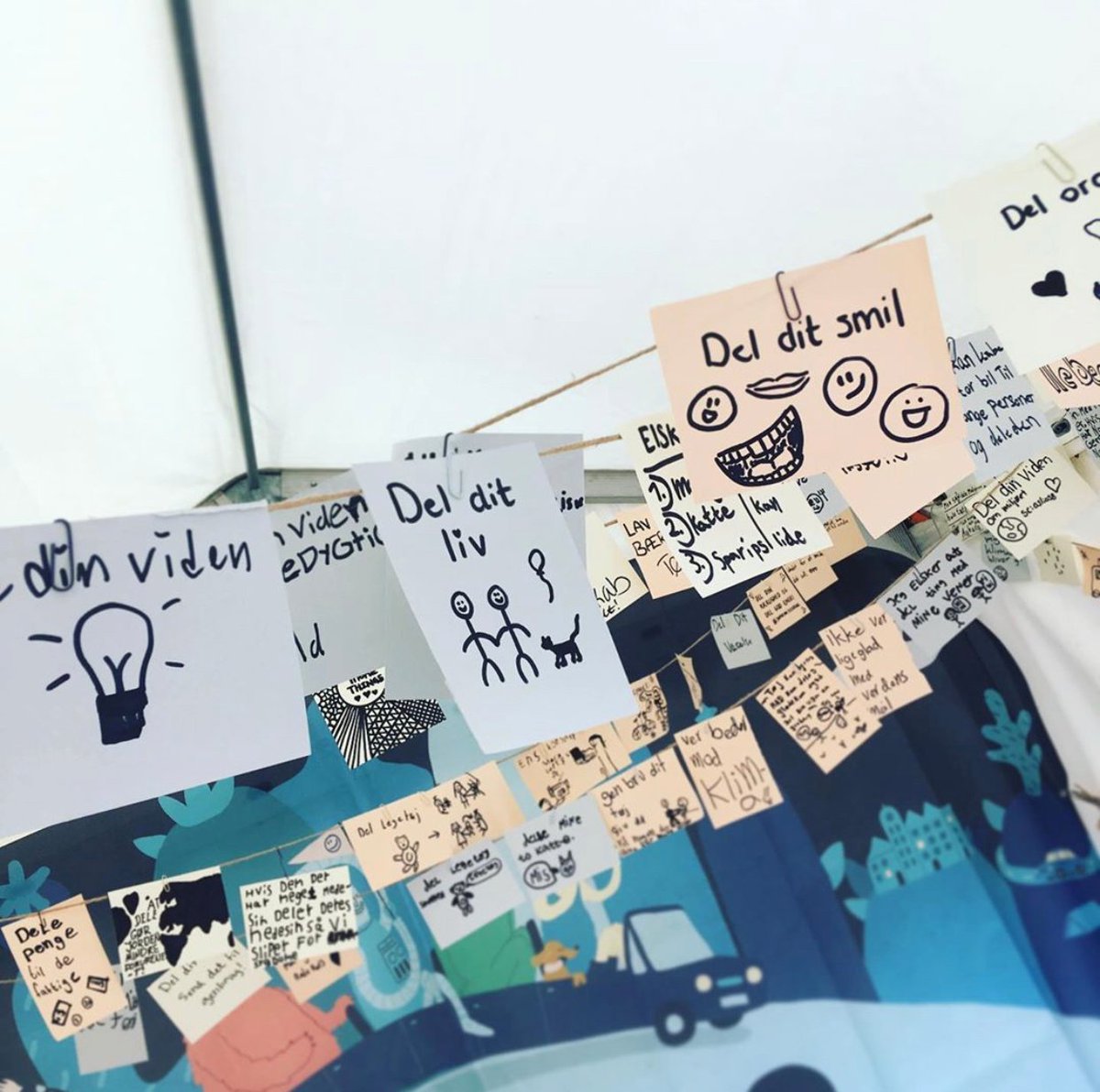 GoMore Danmark tweet media