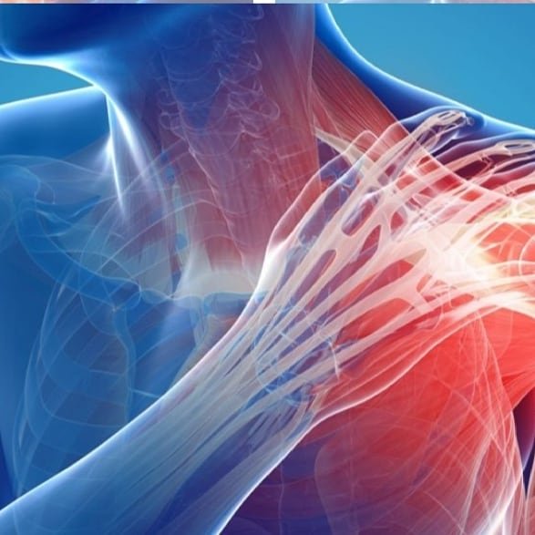Kareemswear's tweet photo. Are you suffering from Joint or Muscle Pain? If so, try our All Natural Blackseed "GOLD"!
#kareemsorganic #health #healthmatters #antiinflammatory #antiodxidants #diabetes #fightscancer 
Kareem's Organic 
4289 Kalamazoo Ave 
Grand Rapids, MI 49508
https://t.co/QiELT1nvzP https://t.co/vrpon9oz11