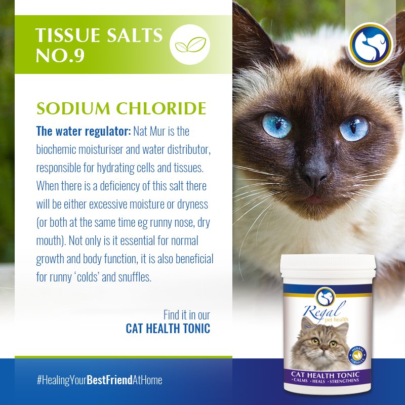 regalpethealth's tweet photo. #TissueSalt #SodiumChloride #CatHealthTonic https://t.co/frzNnzMpWJ https://t.co/1ivZyxLkvz