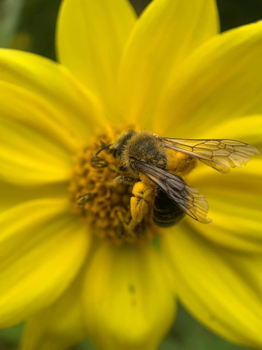 Taken by Joshua Harrison