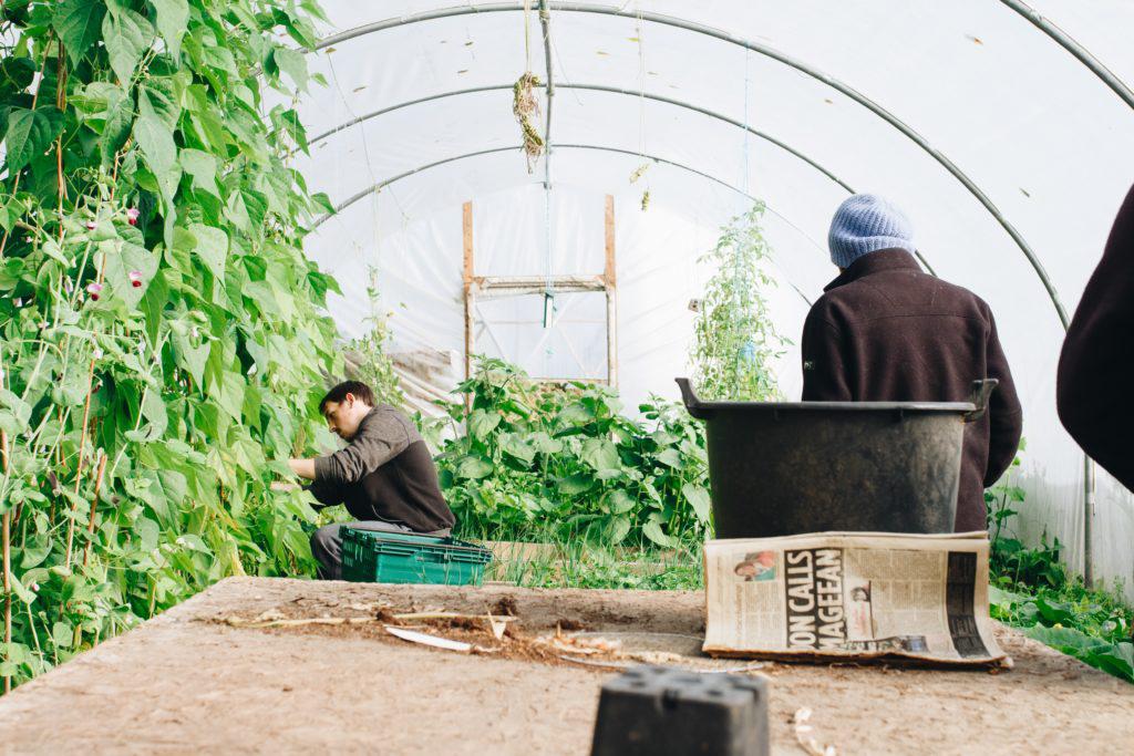 Seeds for Generation tweet media