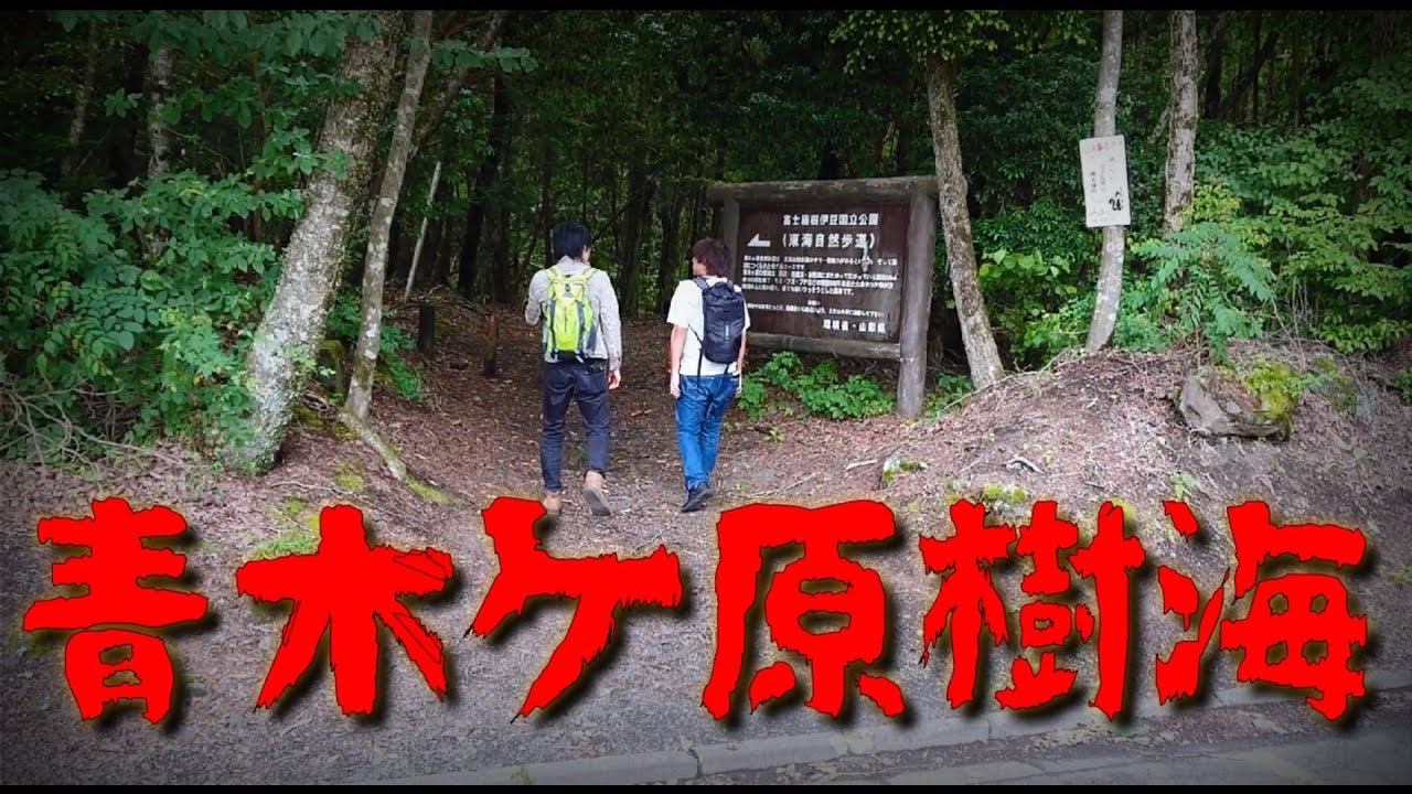謎の集落 Twitter Search Twitter
