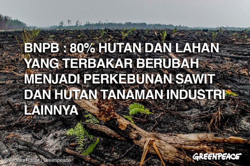 Dear <a href="/kemkominfo/">IsNotSepuh</a> mewujudkan #SawitBaik butuh ketegasan hukum dan keterbukaan data kehutanan agar tata kelola industri sawit bisa dibenahi, jika tidak masyarakat lagi yang akan menjadi korban kabut asap kebakaran. Lebih baik bantu tanya ke <a href="/humasATRBPN/">Humas ATR/BPN</a> kapan mau buka data HGU?