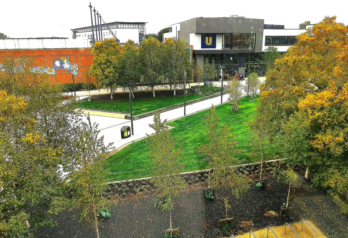 RayWalshe's tweet image. Campus looks different from my office this year #newyear #autumncolours #campusdevelopment #dcuview
from @dcucomputing building in @DublinCityUni