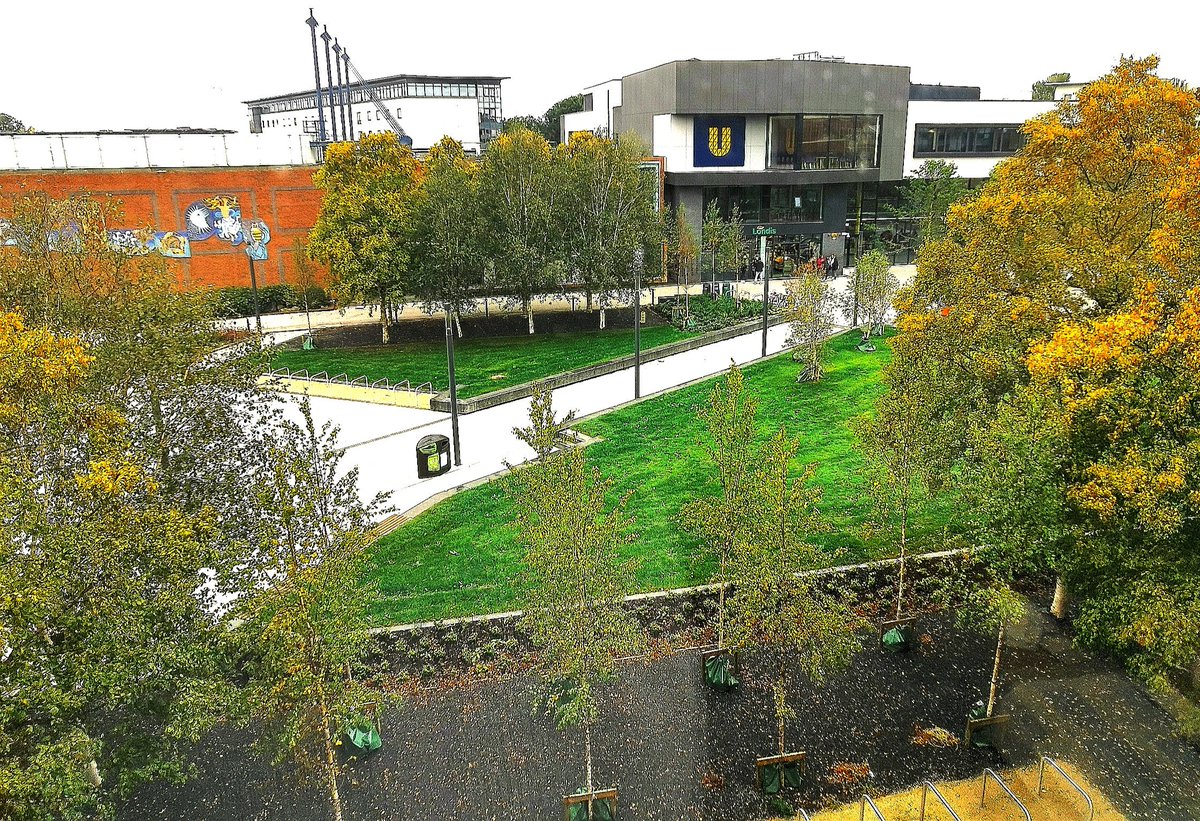 Campus looks different from my office this year #newyear #autumncolours #campusdevelopment #dcuview
from @dcucomputing building in @DublinCityUni