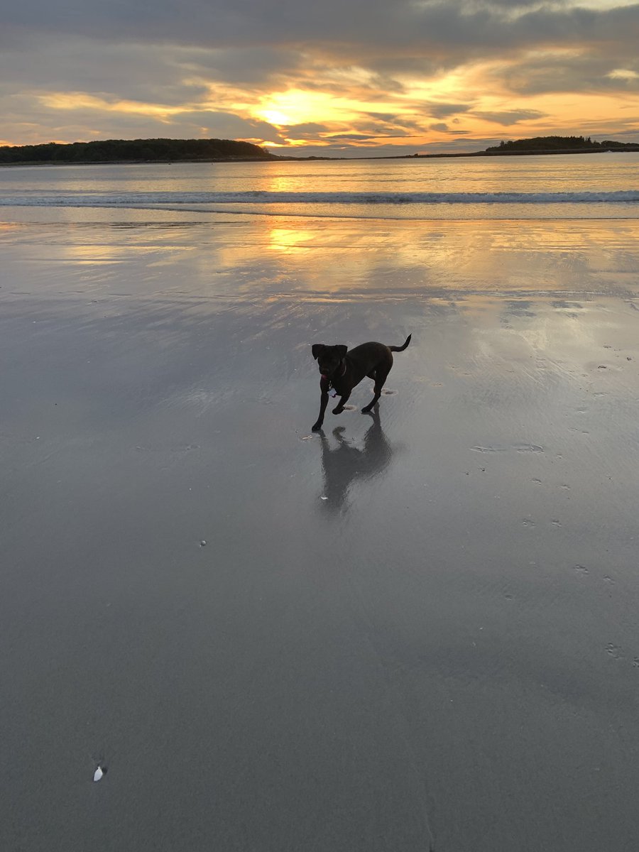 Beach time before work is the best way to start the week !