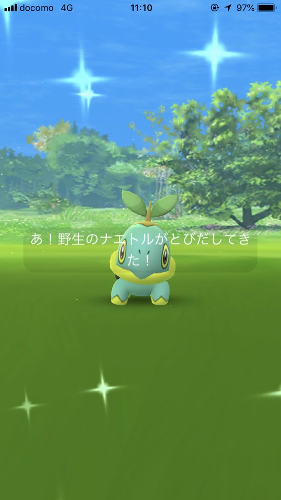 Huchinson03 いろんな表情のナエトル ポケモンgo ナエトル コミュニティデイ 色違いナエトル ハヤシガメ ドダイトス くさタイプポケモン