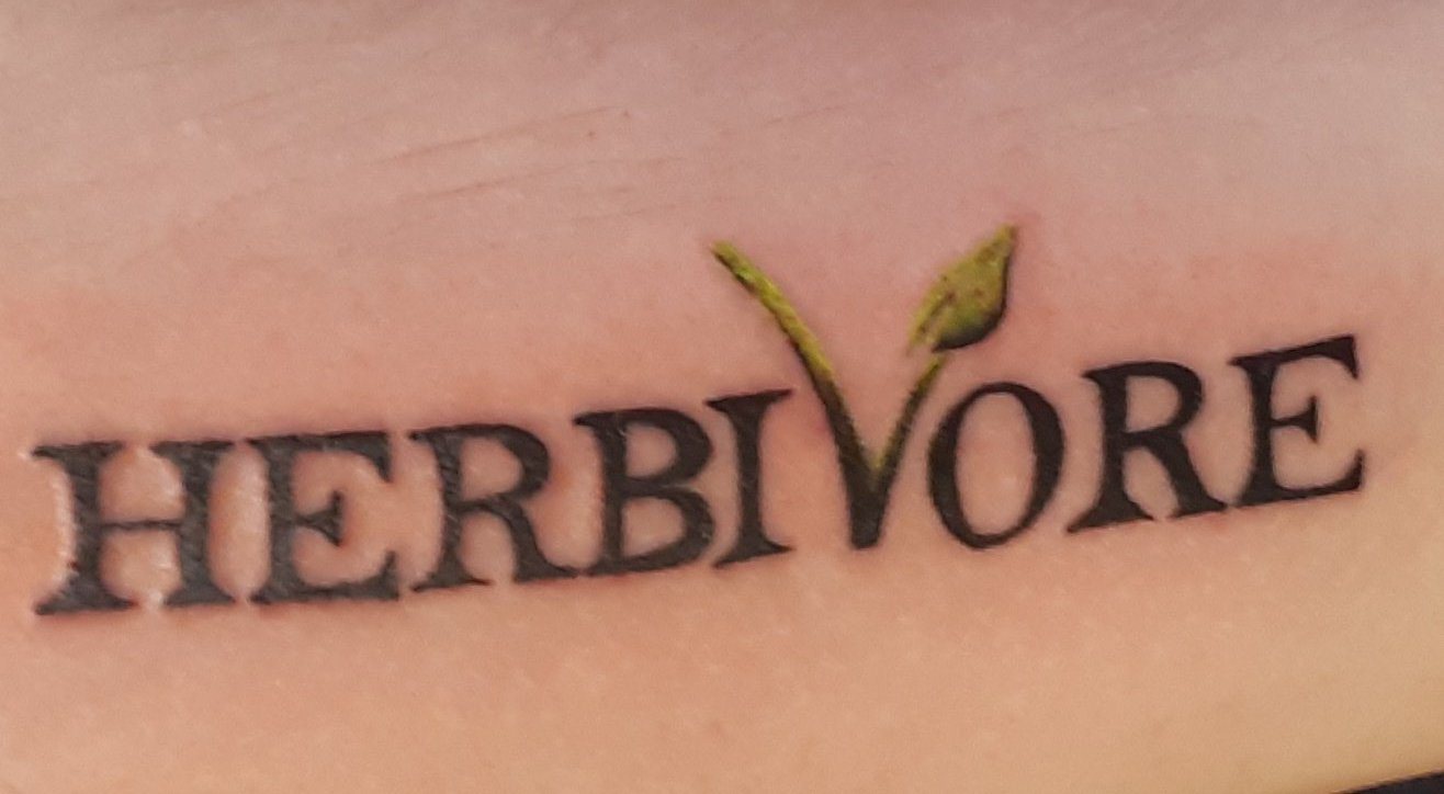 Herbiⓥore on Twitter: "Today is #NationalTattooStoryDay or #TattooStoryDay  Mine was a gift. My ex-partner knew the local tattoo artist and said that I  am an animal rights activist on and offline. He