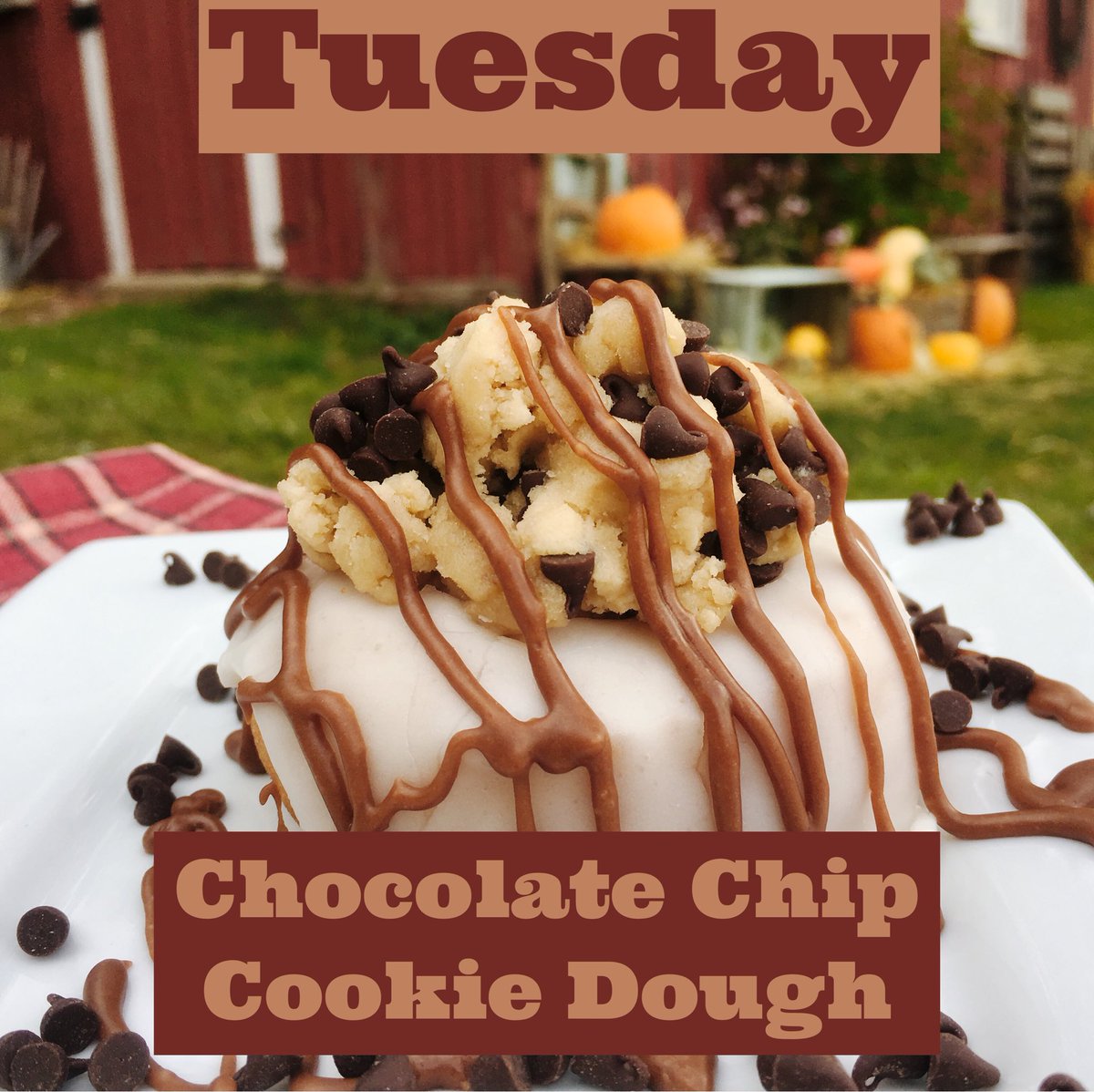 FleitzPumpkin's tweet photo. Tomorrow’s Special - Chocolate Chip Cookie Dough! https://t.co/JYOfcUn4pj