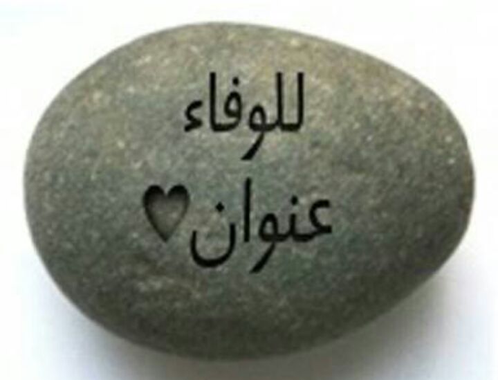 sewlam8's tweet photo. @KqKIOeHCtY8xUBi أهلا وسهلا بك نورت بلدك الثانية مصر أم الدنيا 🌹 https://t.co/l66W3gyjtZ