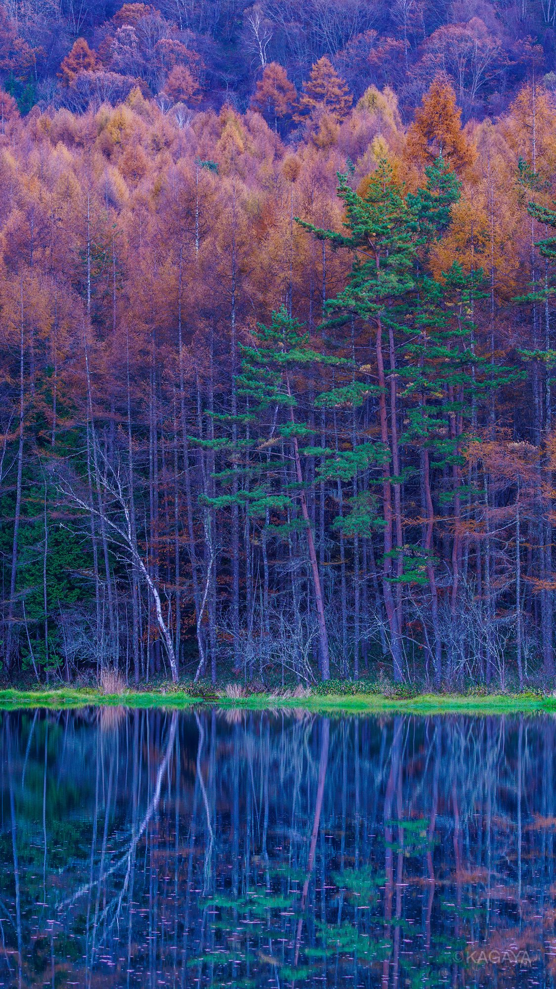 Kagaya 秋の壁紙です どうぞお使いください スマートフォン用です 加工したり他の人に配布したりはしないでくださいね T Co Roo02wkkwp Twitter