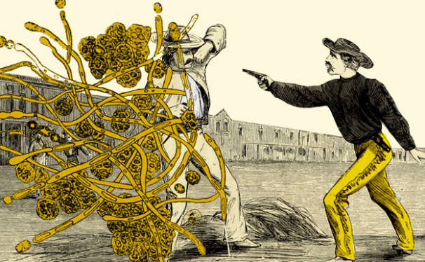 #CuentaCiencia Aunque parezca un metal inerte, en la superficie de una pepita de oro hay tanta acción como en 'Río Bravo'🤠🔬. ¡Yihaaa!👉 bit.ly/2lWgE8g

💡✍ <a href="/PabloPCoronel/">Pablo Pineño</a> para <a href="/Principia_io/">Principia</a> . Ilustración de <a href="/laboliespat/">Patricia Bolinches</a>