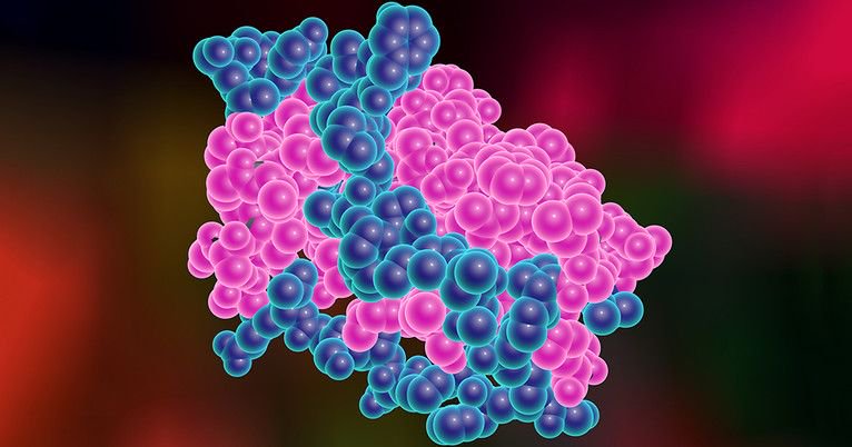 noweighbynisad's tweet photo. Leptin hormone spurs body’s shift from burning carbs to fat:

➡️ https://t.co/RB1oHKS4qn

Thanks to @YaleNews 

#leptin #hungerhormones https://t.co/1otmA226rU