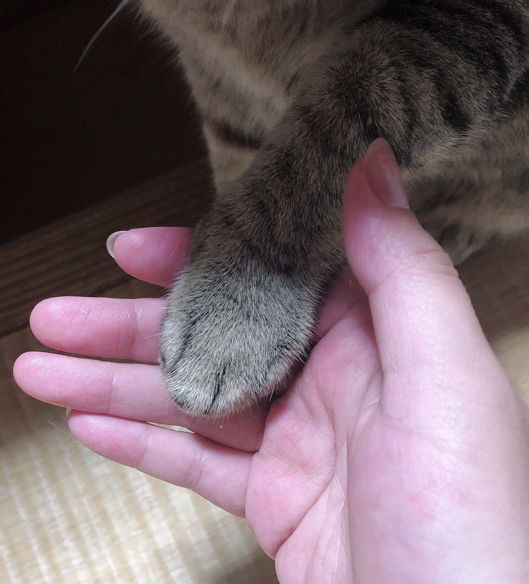 りこ@17歳310ヵ月 tweet media