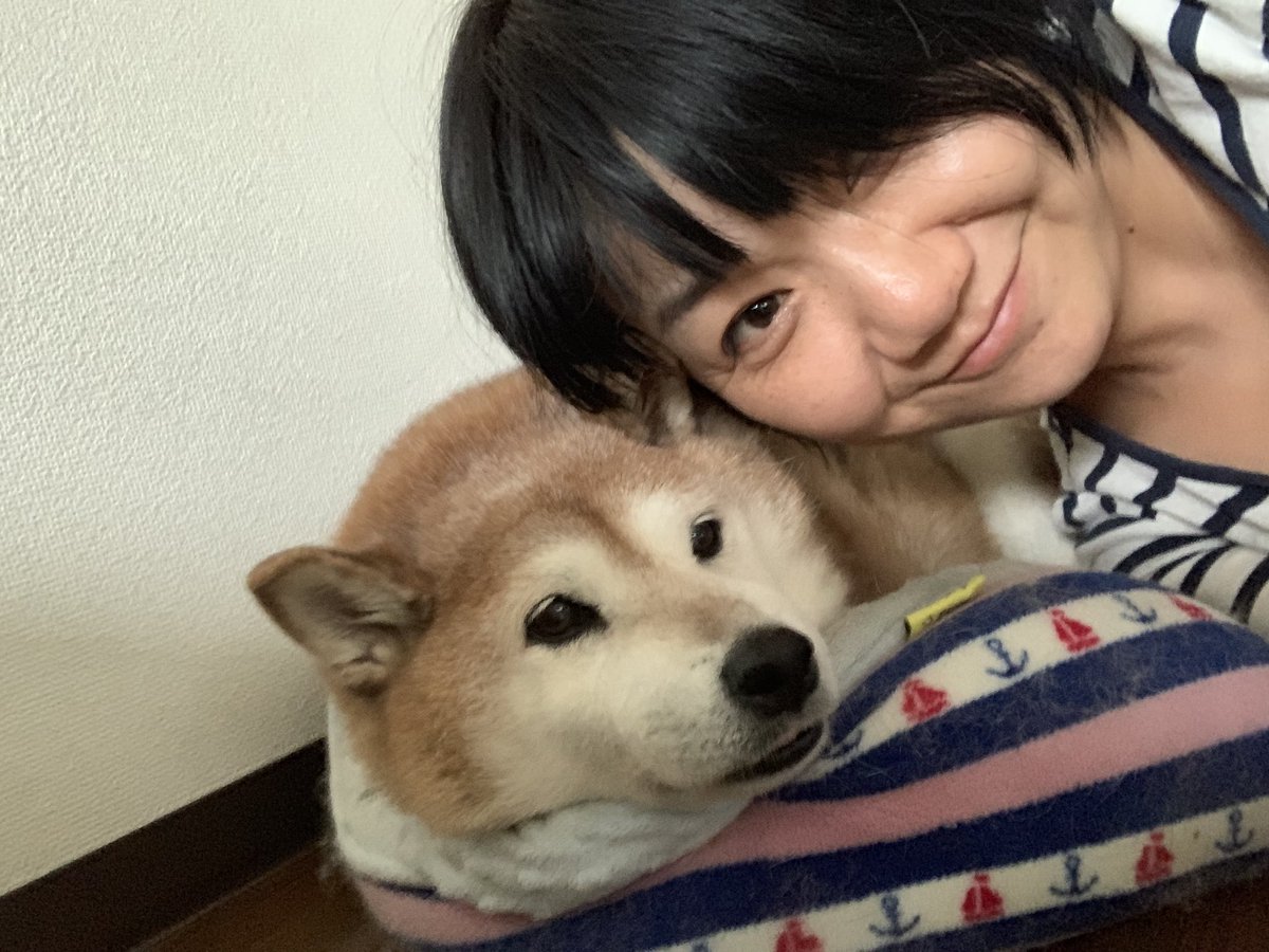 Naomi V Twitter いろんな人の 遭遇した人や犬の 反応をtlでみるのね 桃ちゃん 歳をとってから他の犬に吠えることがほぼなくなった 様子を伺う 匂いを嗅ぐ 相手の出方を見る そんな感じ 吠えられることはたまにあるけど 吠えることはない 相手を見ている