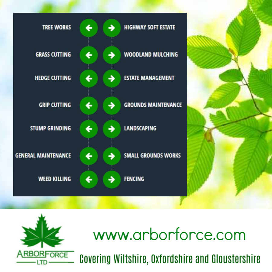 Domestic or commercial grounds maintenance, tree surgery or landscaping

Experienced,  qualified and reliable 

arborforce.com/our-services/ 

#arborforce