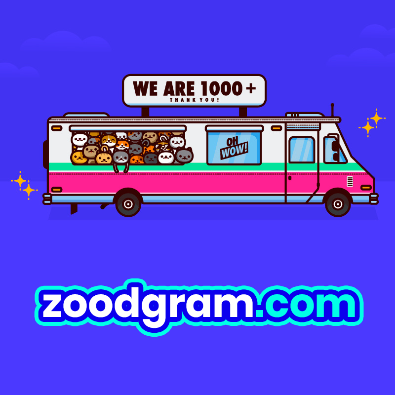 zoodgram's tweet photo. The best website for buying Instagram like and followers.

https://t.co/gkP0M2StpC
https://t.co/AJzpiWl0SZ
https://t.co/3Se8lGBvq8

#buy #Instagram #likes #followers #zoodgram #bestsmmpanel https://t.co/Kjy8M4974h