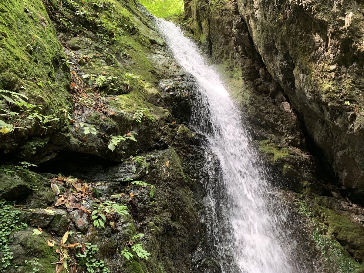 bukuro42's tweet photo. Needless to say, It was really fun to climb #Mitakesan for me yesterday.
We're chilling with the nature.
#御岳山 #御獄 #Helinox #helinox10thanniversary collab wiz #hilberg #ChairOne #Mitake https://t.co/2xwAd609bq