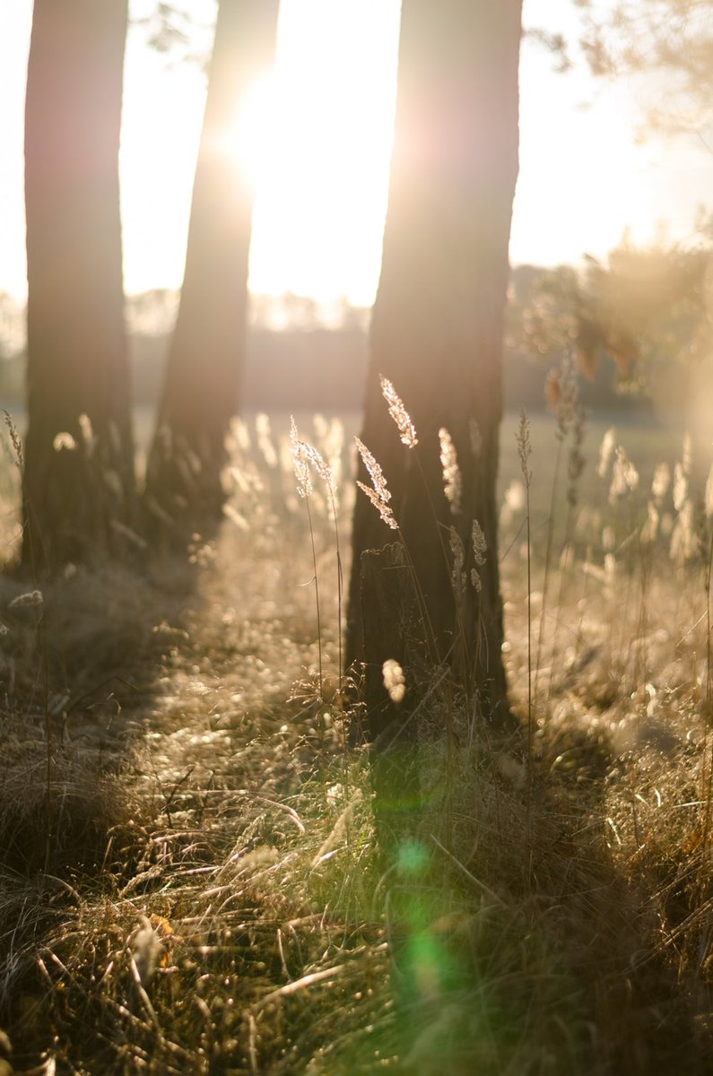 What would stop you from choosing a natural burial over cremation?