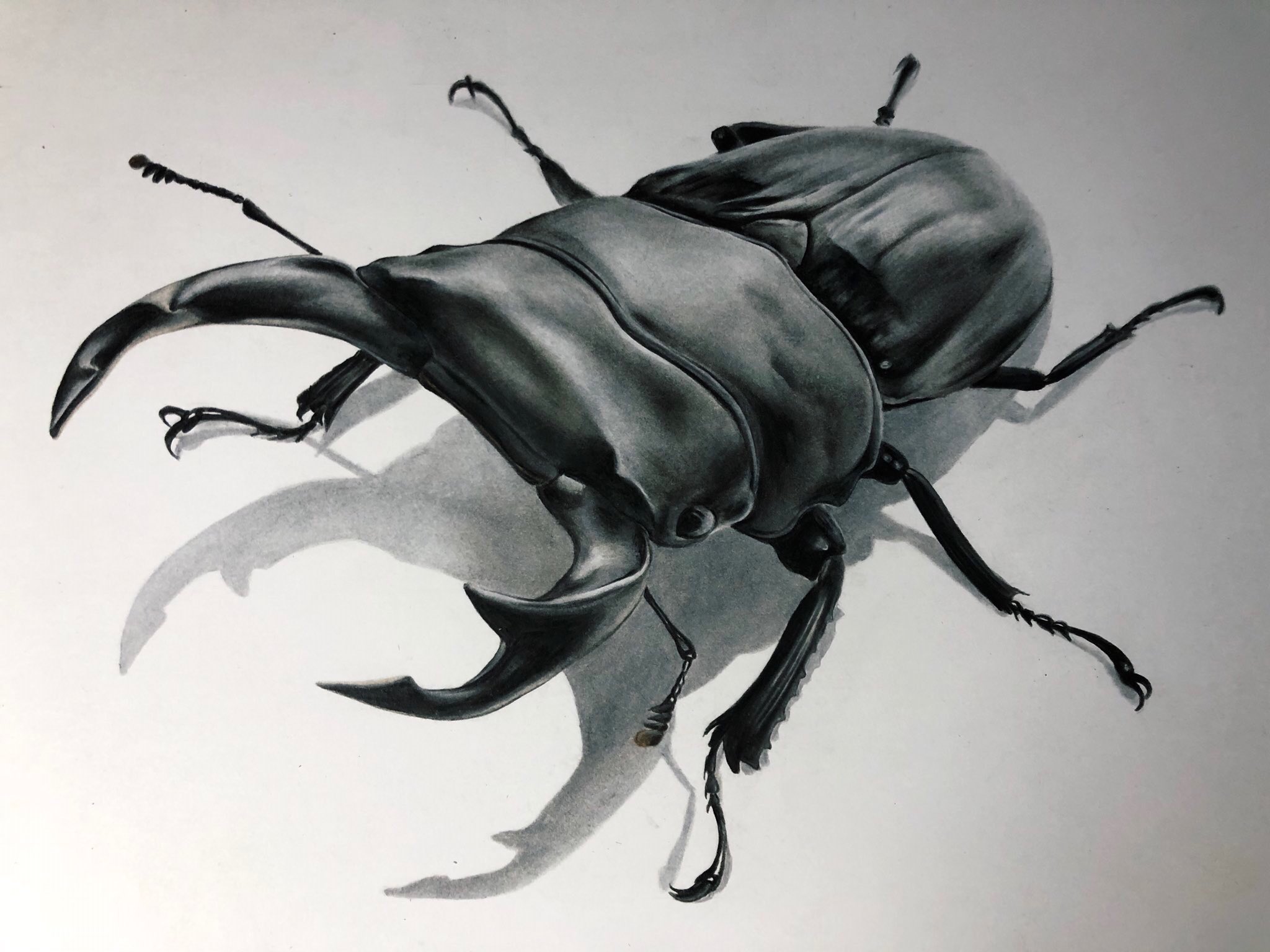 音海はる 色鉛筆画 なつかしの初代ムシキングがやりて絵 ˇwˇ 音海はる 色鉛筆画 なつかしの初代ムシキングがやりて絵 ˇwˇ