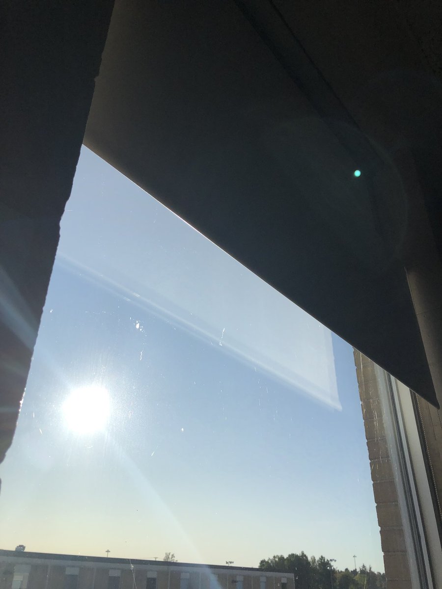 allison_fuisz's tweet image. Sun is up &amp;amp; a beautiful day ahead full of learning &amp;amp; positive vibes. Why not #CelebrateMonday &amp;amp; all the good things it has to offer?  Have an amazing day everyone! @OCDSB #OCDSB #TrendthePositive
