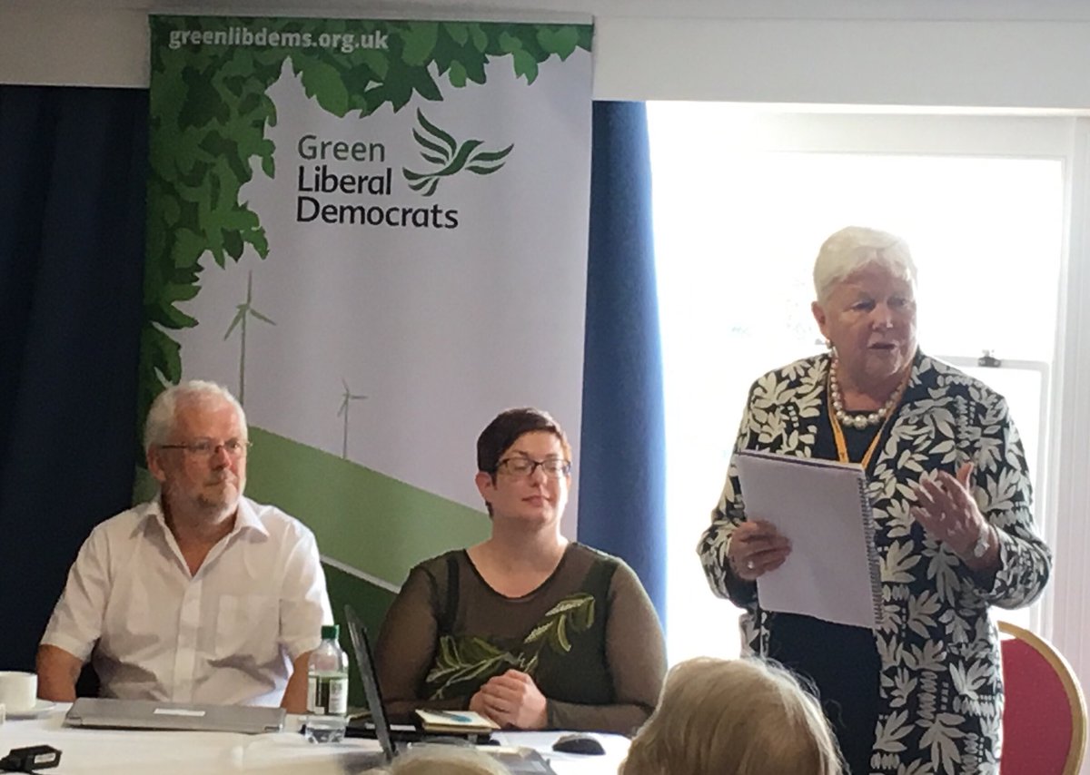 GreenLibDems's tweet photo. .⁦@JennyRanderson⁩ speaking on Low and No Carbon Vehicles at our #HydrogenVehicle fringe. 
#Conf2019 https://t.co/x9ATIPSDFc