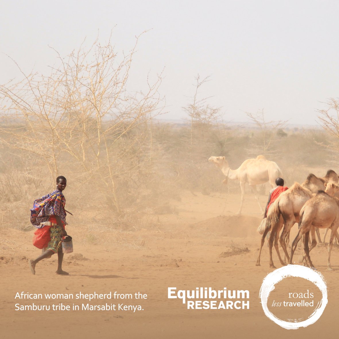RLTGlobal's tweet photo. Some World Heritage sites have identified nomadic pastoralism as one of the values to be addressed through management + designation. Case studies exemplify both successful approaches &amp; others where the future of mobile pastoralism remains doubtful: https://t.co/elFFweXkPf https://t.co/XxJ95w8Mmb