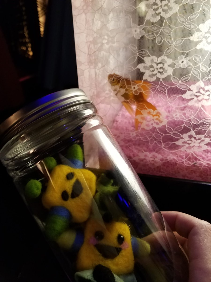 金魚の達人 金魚の達人