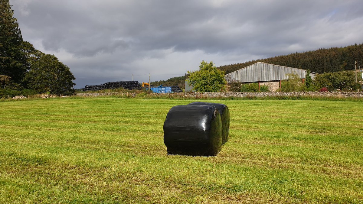 EdinvaleFarm's tweet image. And that's a wrap! With these bales I hereby declare an end to silage 2019. Fantastic yields but not an easy year to get it. It's done though and we have some great feed for our cattle for winter. Now to try and find a combine! #grasstobeef #meatwithintegrity
