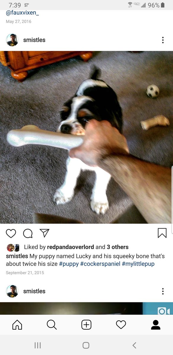 SoulIntent95's tweet image. Today we will be putting down my dog, lucky. All he ever wanted to do was play ball, and hed wait for me to get home. Sat right outside my door. Its been so hard to watch him suffer, but soon he wont have to any more. Goodbye lucky.