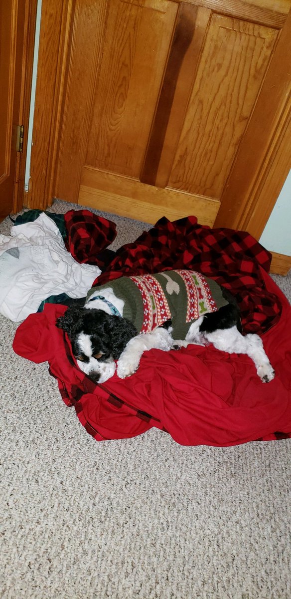 SoulIntent95's tweet image. Today we will be putting down my dog, lucky. All he ever wanted to do was play ball, and hed wait for me to get home. Sat right outside my door. Its been so hard to watch him suffer, but soon he wont have to any more. Goodbye lucky.