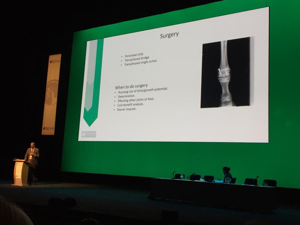 On Friday John gave two lectures at the annual <a href="/BEVA_news/">BEVA</a> Congress. Here is a picture taken from his first lecture ‘The Stud Vets Approach to Angular Lomb Deformity’ It was well attended and very interesting #bevacongress19 #knowledgeshare