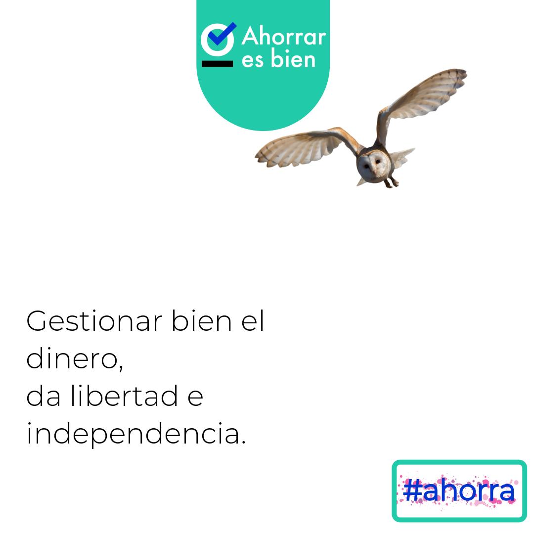 Gestionar bien el dinero te hará libre, te hará independiente.
💰🕊️
#ahorraresbien #finanzaspersonales #dinerofacil #ahorros #libertadfinanciera #libertad #empoderamiento #emprendimiento #eprendedora #emprendedor