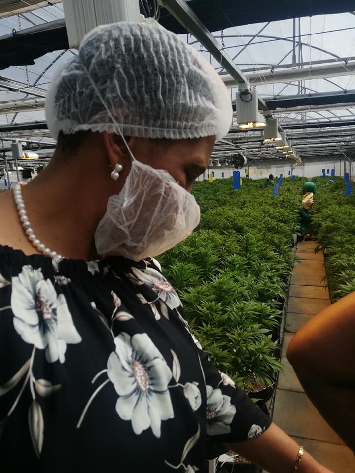 MGHFullSpectrum's tweet photo. Some prominent Lesotho Doctors and Pharmacists appreciating the medical cannabis processes from cultivation to production.

#Medical #Cannabis #Phekoane #Medigrow #Lesotho #Health #MG_Health https://t.co/0is0qcMFkh