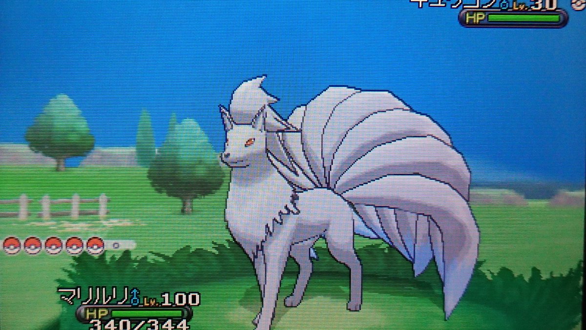 くまぼうし En Twitter フレンドサファリで色違いキュウコンを捕まえました 銀色の毛が美しい D 尻尾の先が青くなっているのもいいですね ポケモン 色違いポケモン