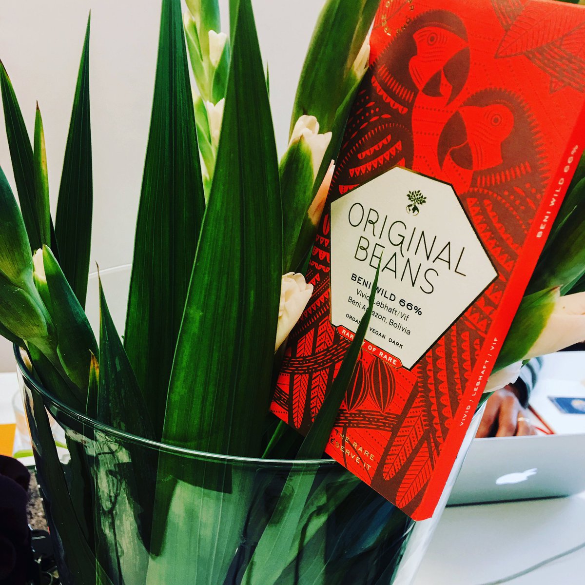 Original_Beans's tweet photo. Our chocolate grows in the rarest places. #MondayMood #tastetherare #onebaronetree @ office #beniwild https://t.co/gQq0xztP5T