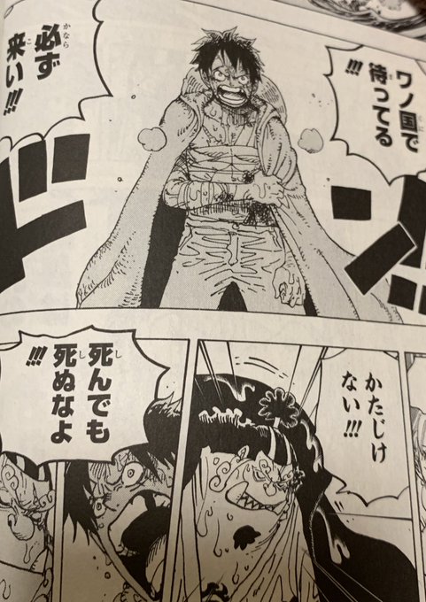 ワンピース 革命軍のメンバーを一覧で紹介 強さや悪魔の実の能力者も 6ページ目 Selvy