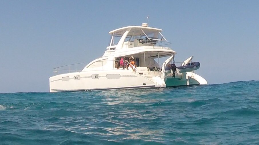 tomo2268's tweet photo. Great day swimming with turtles #Barbados https://t.co/YPvi9HtEFV