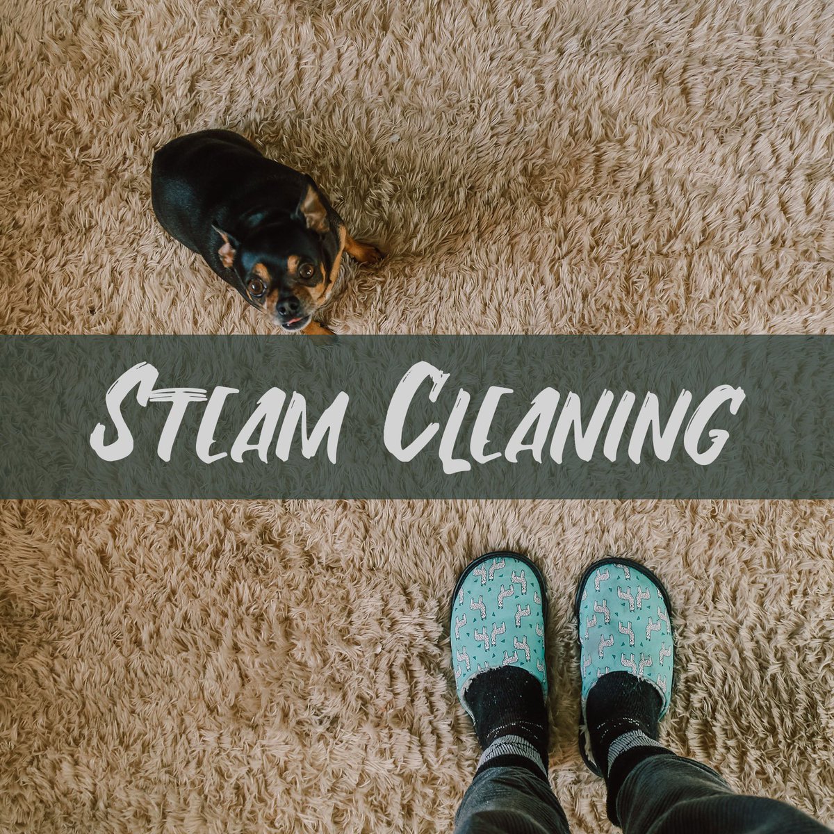 CleanInbetween's tweet image. Summer’s at its end &amp;amp; those carpets can’t be in great shape. Recommended to get carpets cleaned at least 2x/yr &amp;amp; there’s no better time! Our environmentally friendly steam cleaning services to remove deep-seated grime, dirt, allergens, and any nasties that are stuck.