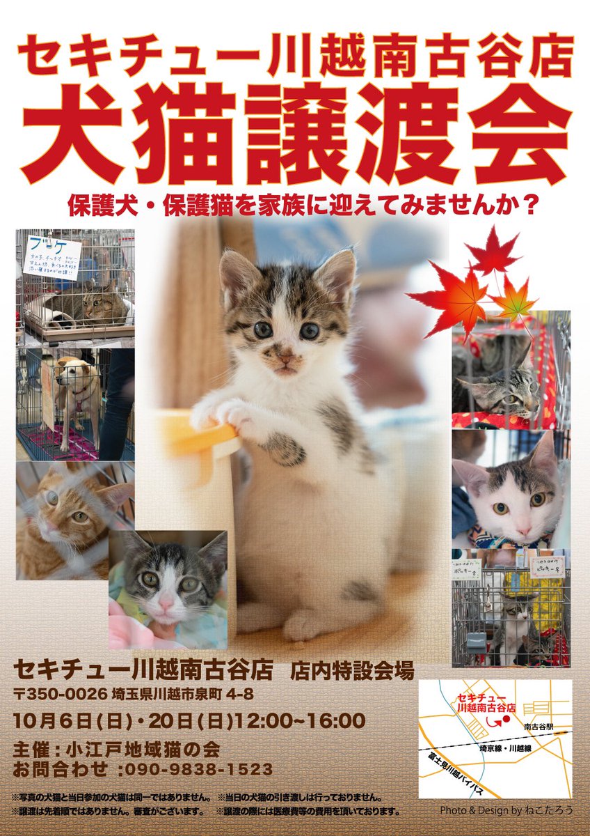 Uzivatel 狭山市 猫カフェ Funnycat Na Twitteru 譲渡会開催お知らせ 9 22 日曜 12 15時 入間サイオス様 9 23 月 祝日 13 16時 新座動物総合医療センター様 9 29日曜 14 17時 Ikea立川店様 10 6 日曜 12 16時 セキチュー 川越南古谷店様 セキチュー狭山北入曽