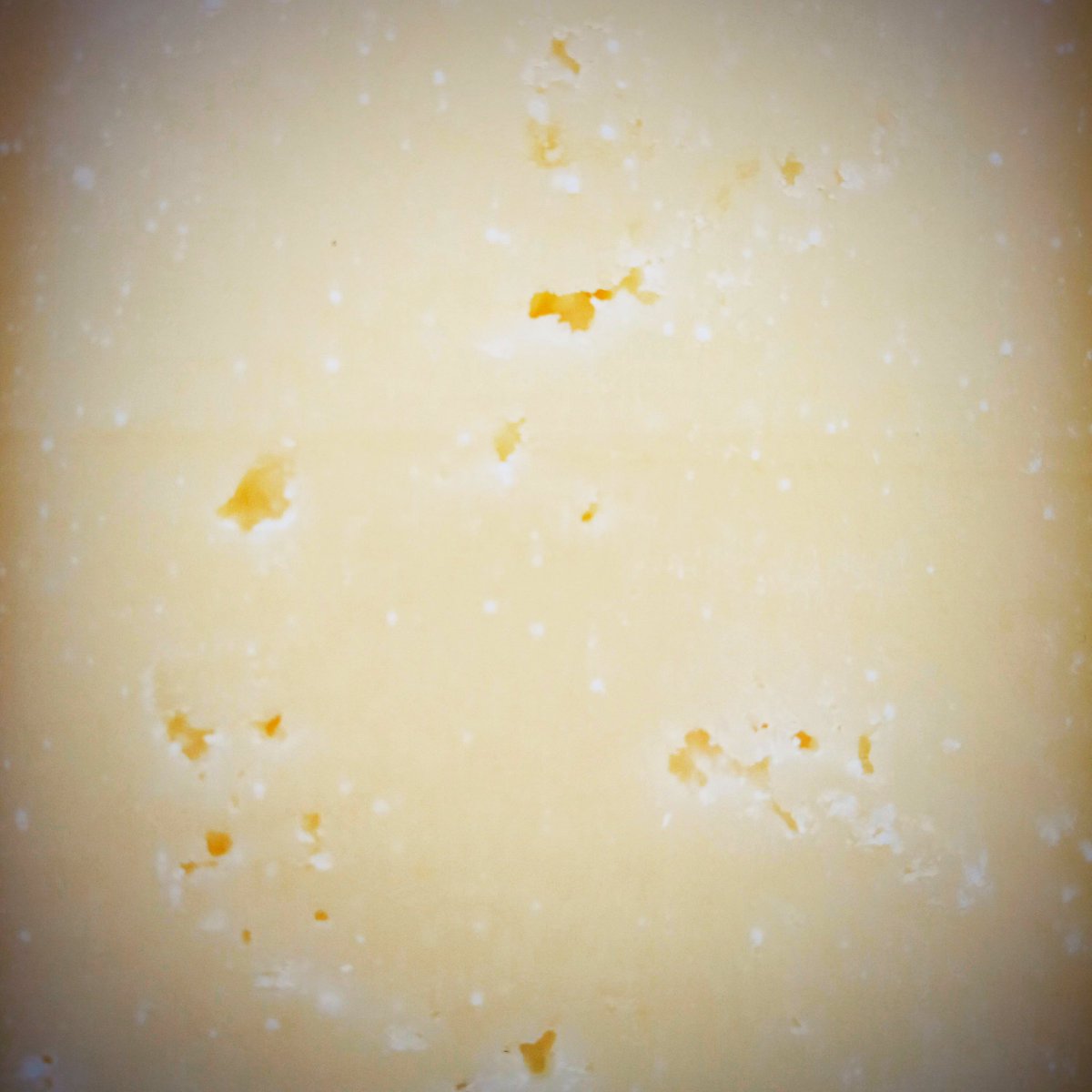 qualeformaggio's tweet photo. Nasce il Presìdio Slow Food Furmacc del Féen, il Latteria d’una volta. Da vacche alimentate a fieno, è prodotto dai Ribelli del Bitto. Giornalisti e blogger interessati potranno scoprire molte e interessanti novità al Cheese di Bra, domenica 22. Leggi qui: https://t.co/kcaUmZ6ADh https://t.co/c9QnSZL4iJ