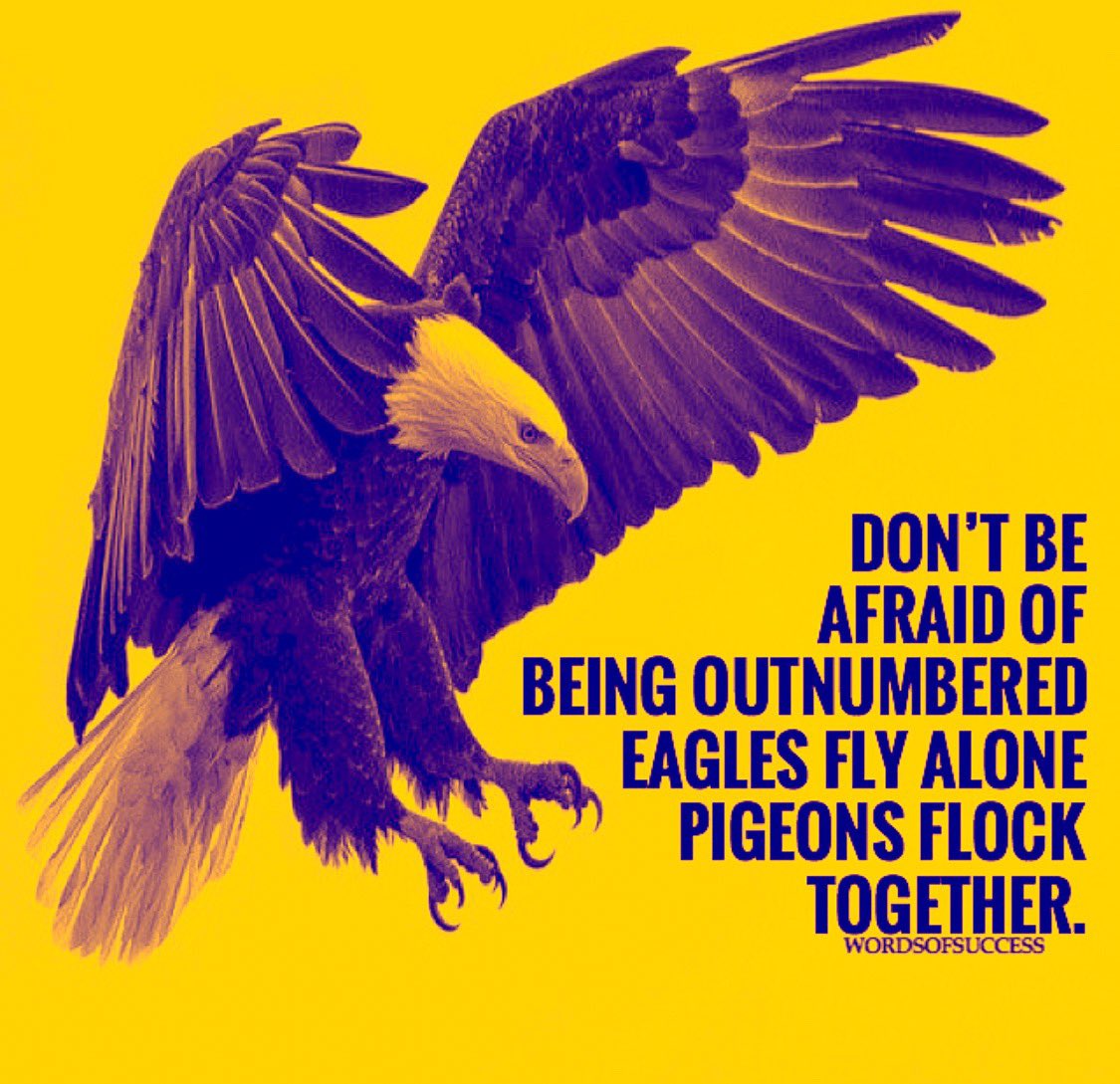 Steve Castillo (@scastillo366) on Twitter photo 